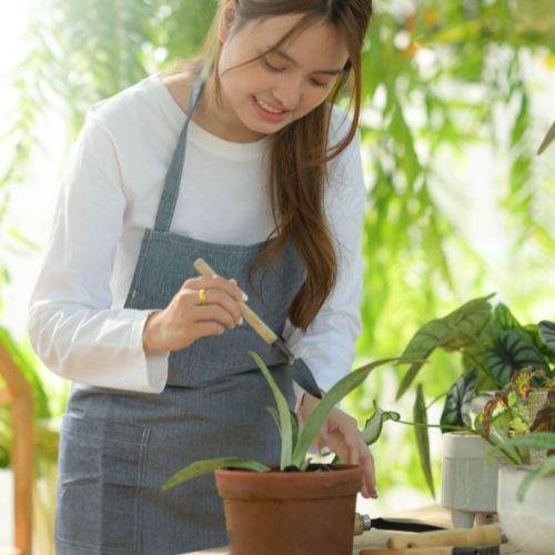 女性が楽しそうに植物を育てている画像